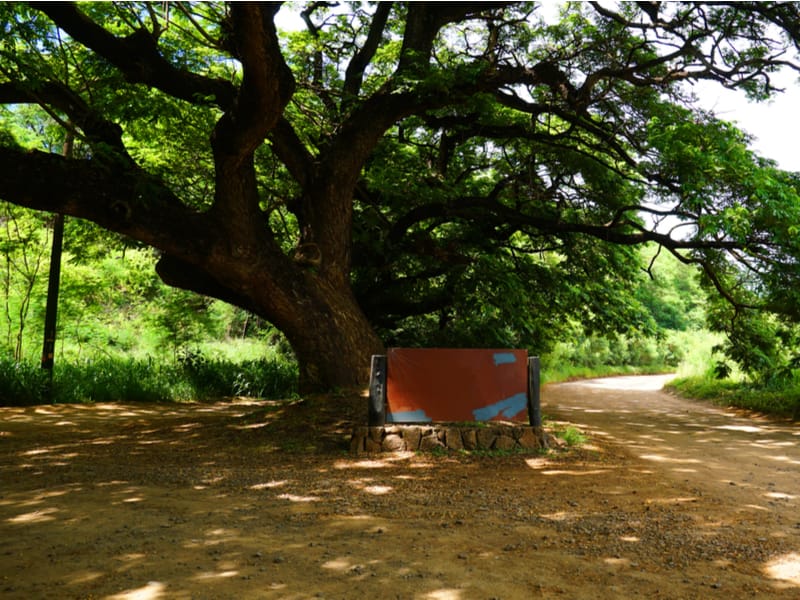 Entrance to the park