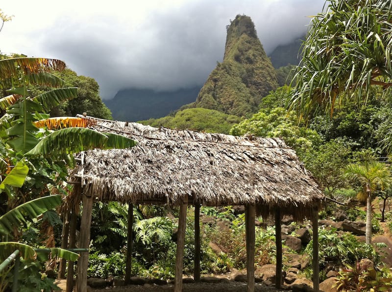 Grass hut in Iao Valley