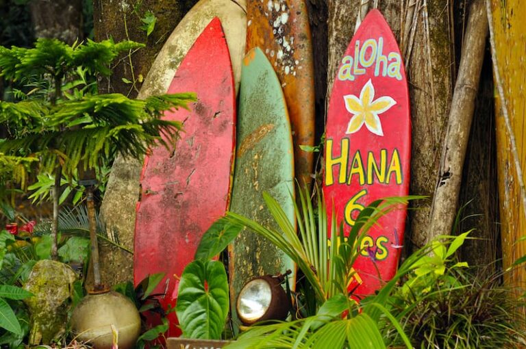 Hawaii in august what to expect weather festivals