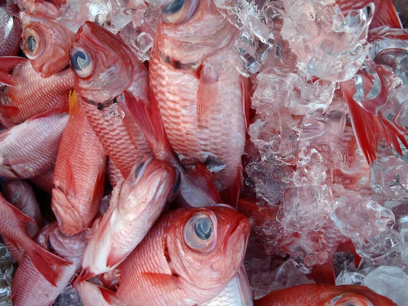 Hawaii fish market