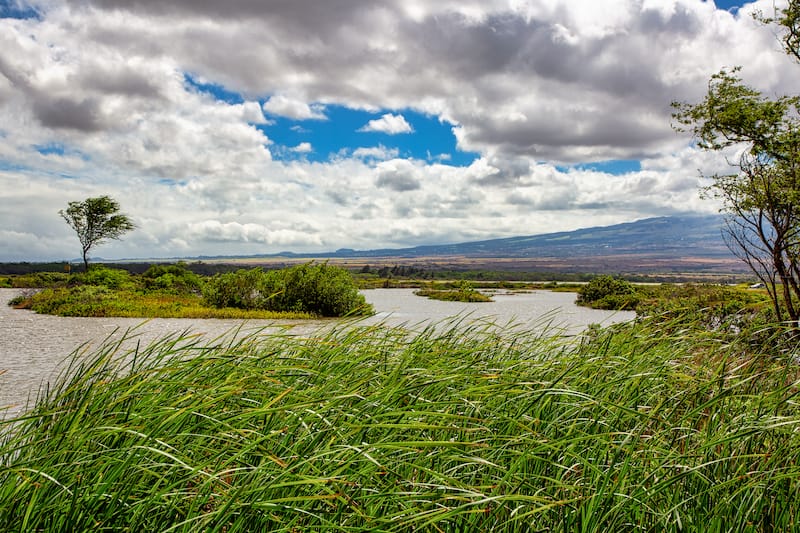 Kealia Pond National Wildlife Refuge