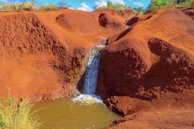 Kokee State Park at Waimea Canyon