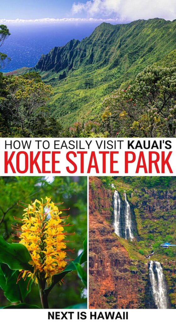 Kokee State Park Travel Guide Things to Do + Visitor Info
