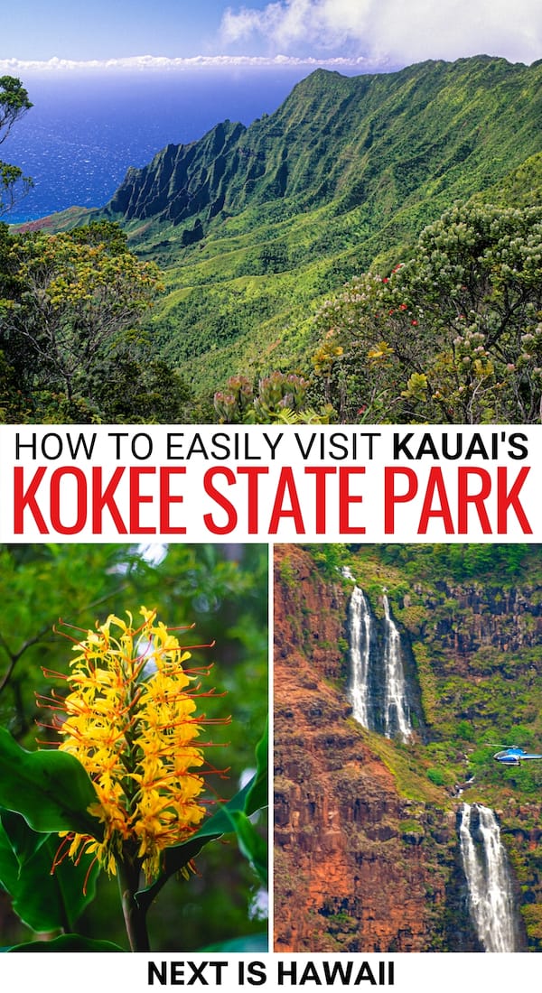 Are you planning on visiting Kokee State Park on Kauai? This travel guide tells you the best things to do in Kokee State Park, how to visit, and more!