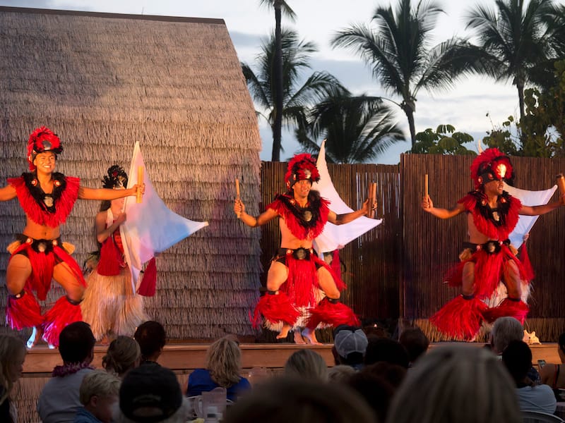 Luau - Polina MB - Shutterstock.com