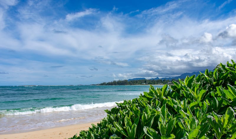 Malaekahana Beach