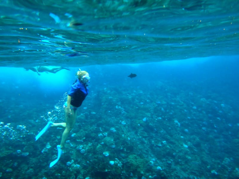 Molokini Crater snorkeling