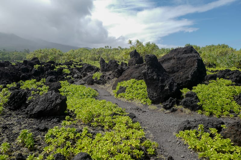 Path in Wai'anapanapa State Park