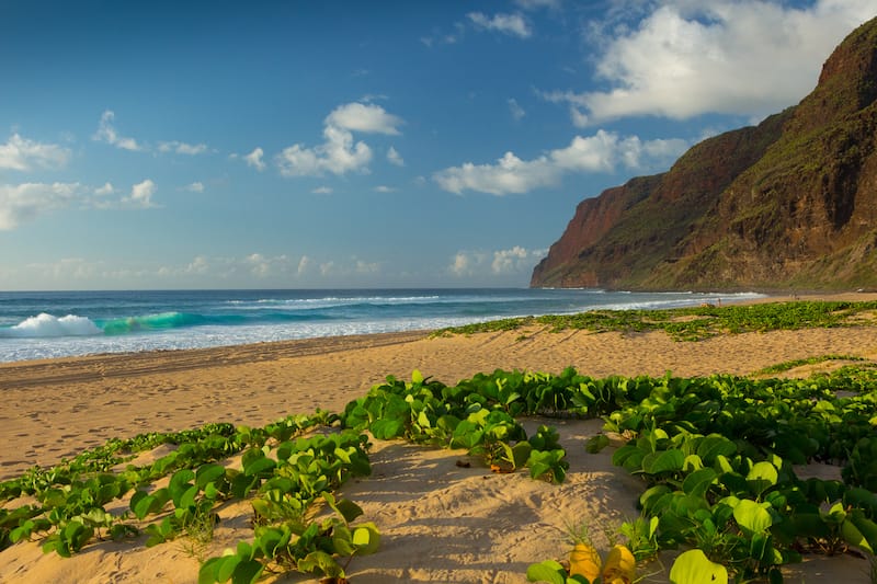 Polihale State Park