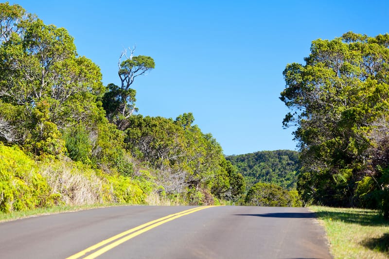 Road through Kokee State Park