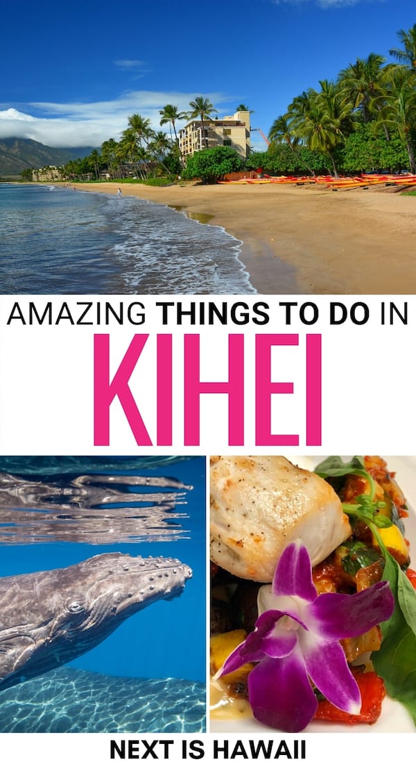 Are you on the lookout for the best things to do in Kihei on Maui? This is a guide to the best attractions in Kihei, including beaches, food, and more! | Kihei Things to do | What to do in Kihei | Kihei attractions | Places to visit in Maui | Maui day trips | Maui destinations | Places to visit in Kihei | Things to do in Maui | Kihei beaches | Kihei landmarks | Kihei restaurants | Kihei beer | Kihei travel guide | Kihei itinerary