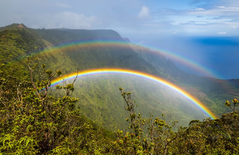 Views from the Pihea trail