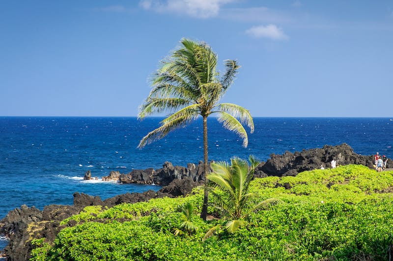 Wai'anapanapa State Park travel guide