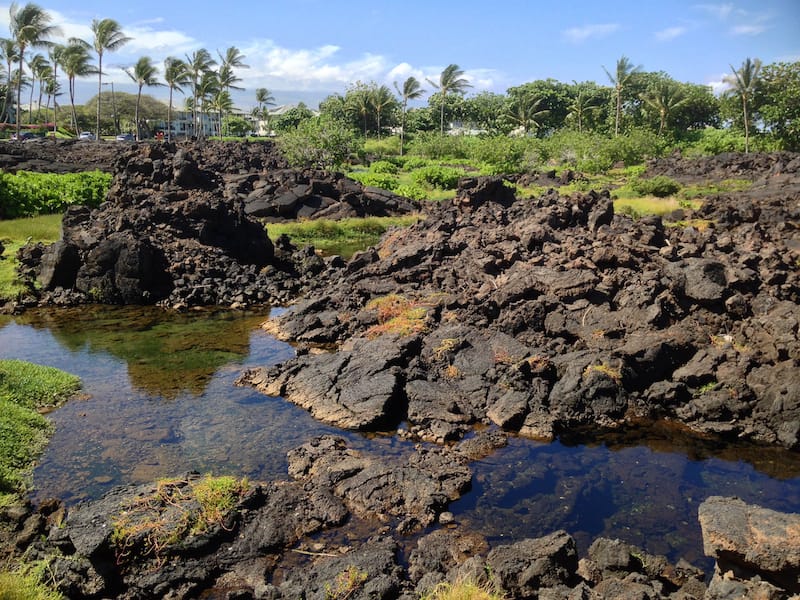 Waikoloa Anchialine Pond Preservation Area