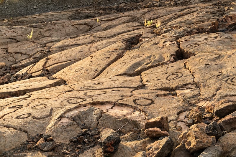 Waikoloa Petroglyph Preserve