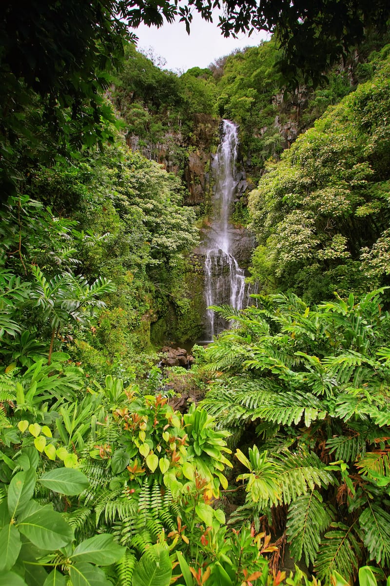 Wailua Valley State Wayside Park