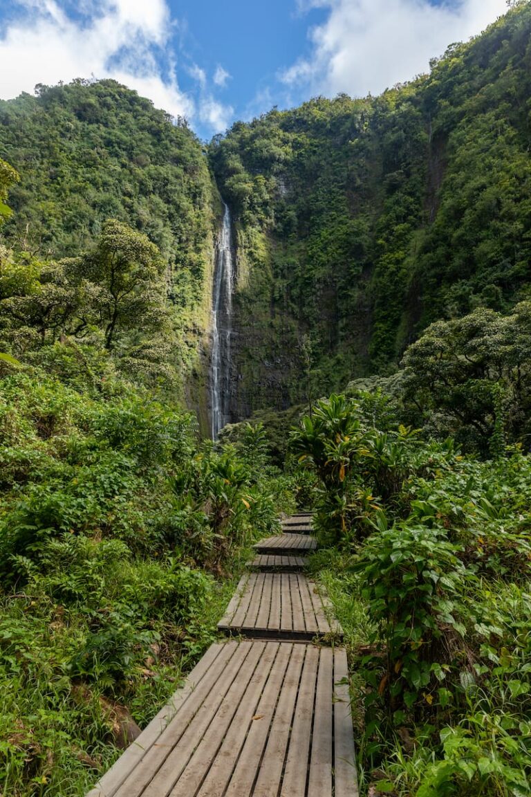 12 JawDropping Maui Waterfalls (+ Map to Find Them!)