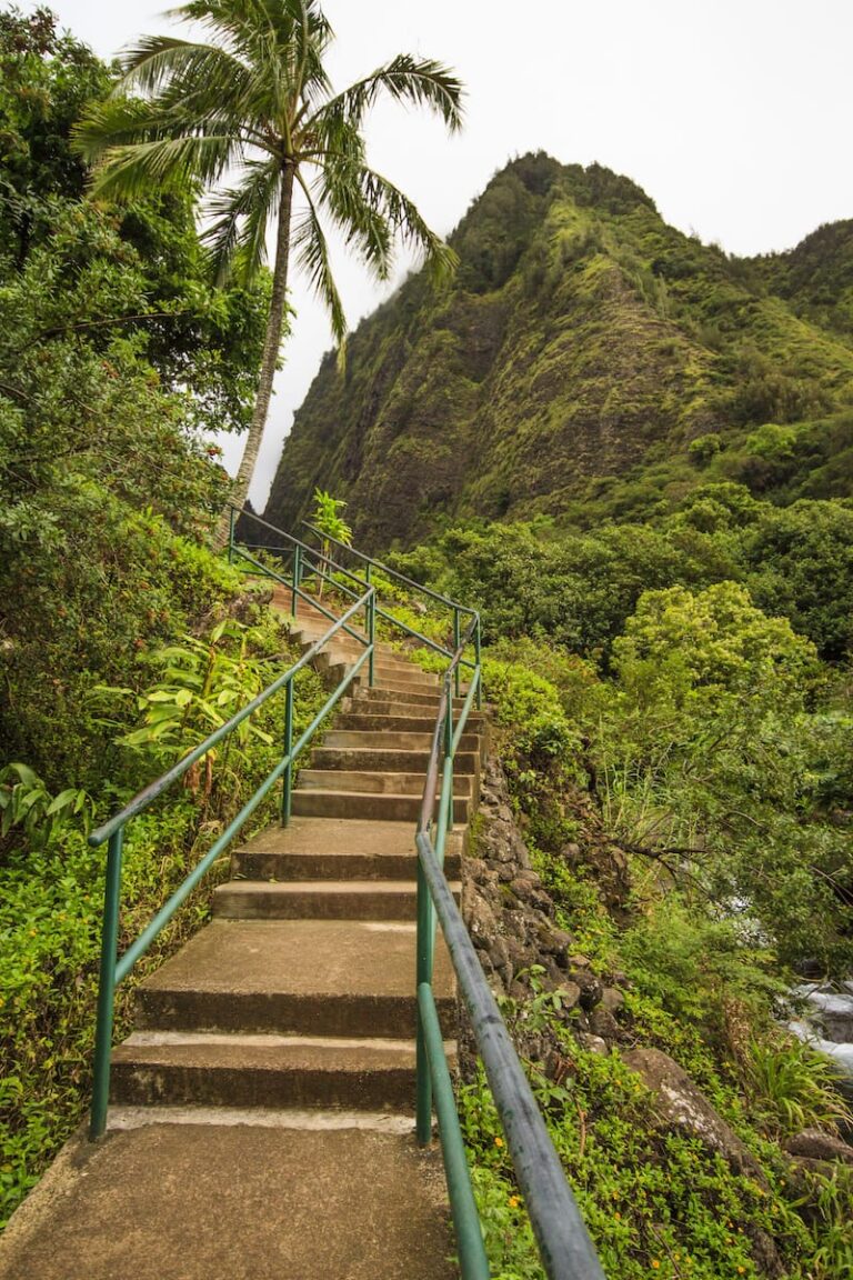 A Quick Travel Guide to Iao Valley State Monument on Maui