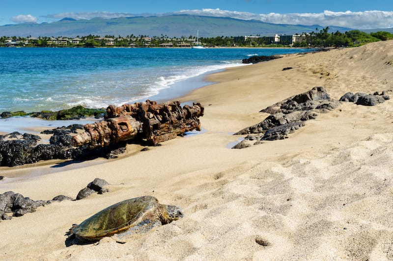 Anaeho'omalu Beach