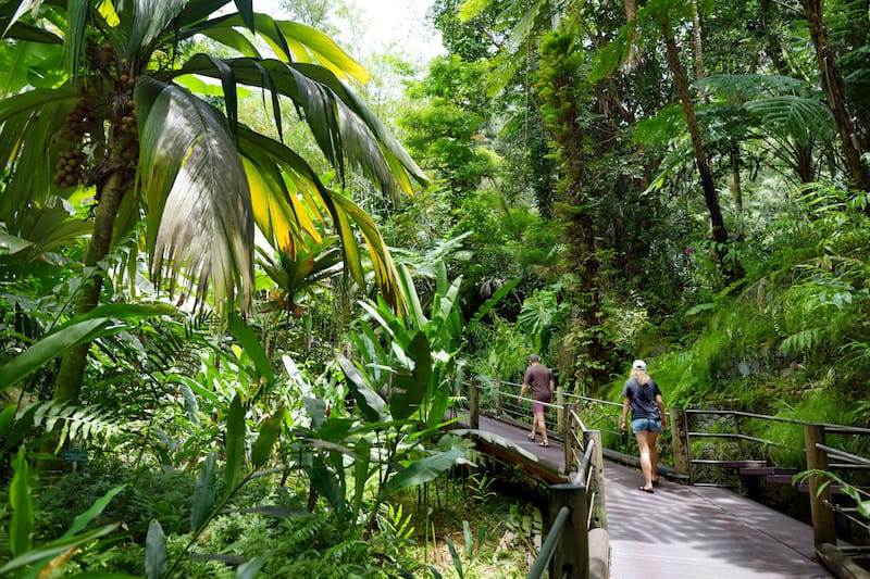 Big Island botanical gardens