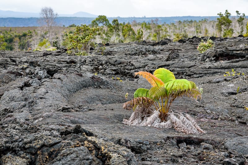 Keanakakoi Crater