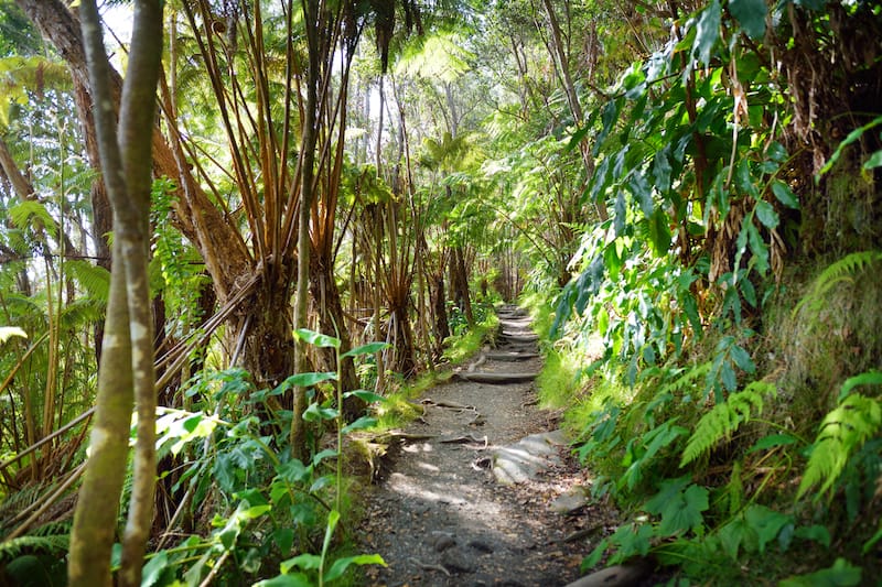 Best hikes in 2025 volcano national park