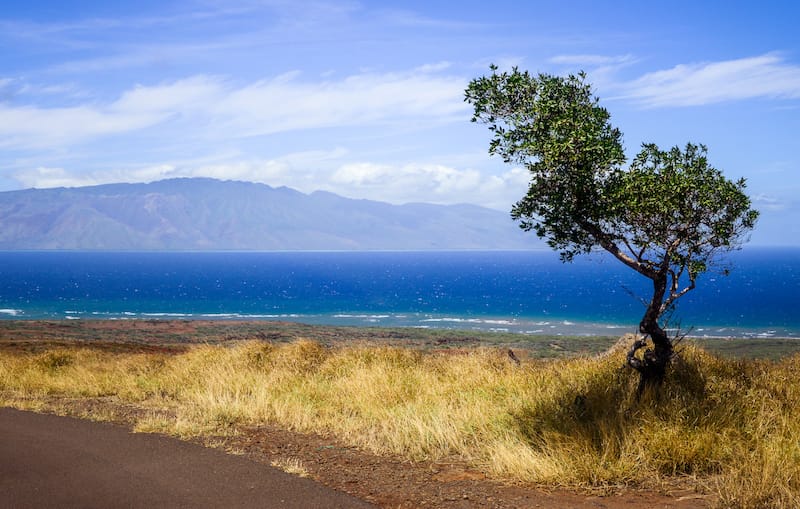 Koloiki Ridge Trail 