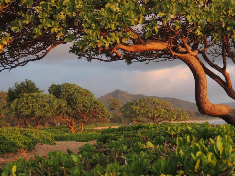 23 Gorgeous Places To Visit In Kauai Hawaiis Garden Isle