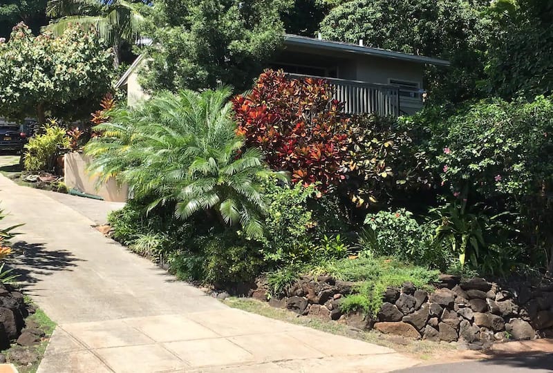 12 Beautiful Airbnbs in Oahu (All Budgets Considered!)