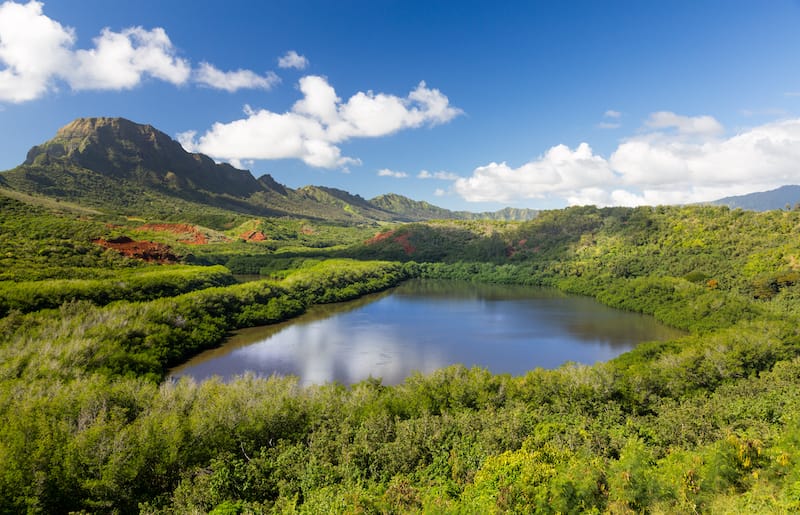 Menehune Fishpond