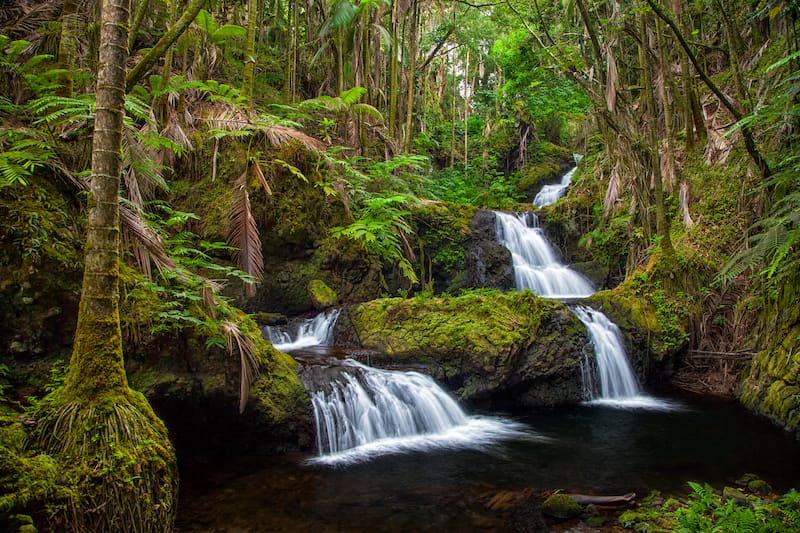 Onomea Falls in Hawaii Tropical Botanical Gardens