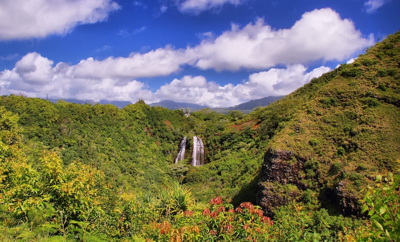 Opaeka’a Falls