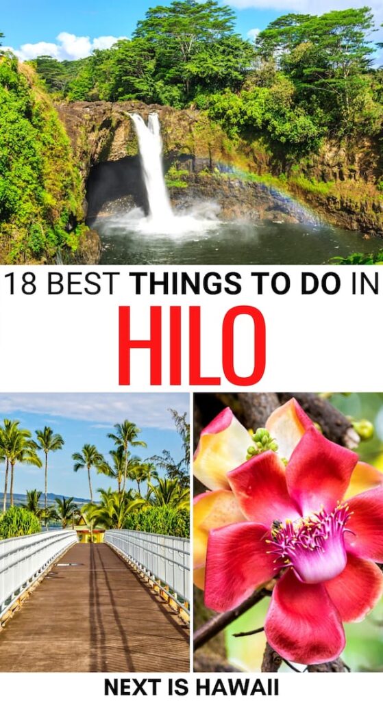 22 Best Things to Do in Hilo, Hawaii (2024 Guide & Map!)