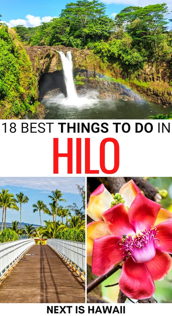 Things to Do in Hilo: Experience the Best of the Big Island