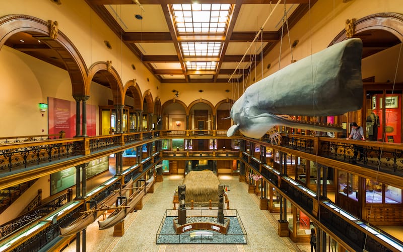 The Bernice Pauahi Bishop Museum - Phillip B. Espinasse - Shutterstock.com