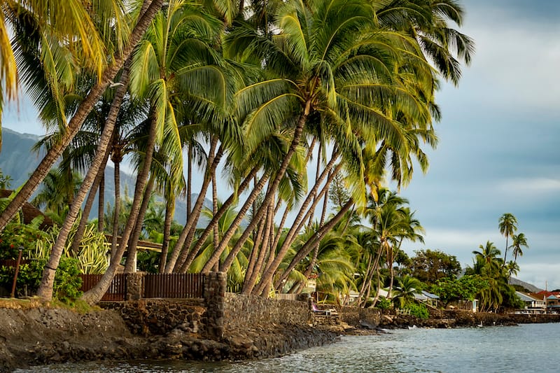 Best Things To Do in Lahaina, Hawaii  