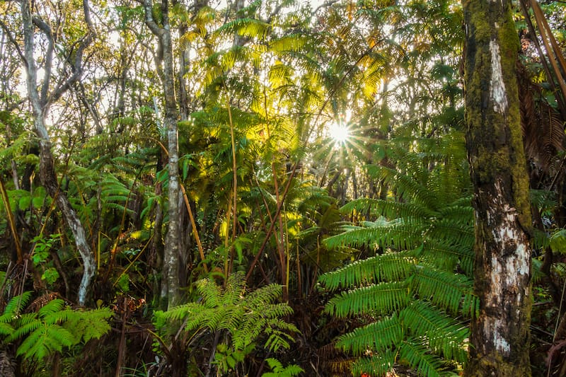 Volcanoes National Park day hikes