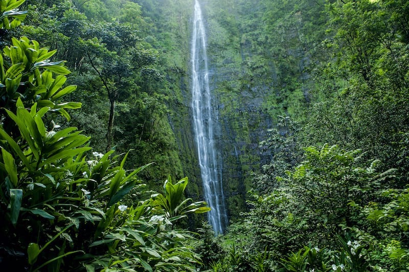 Haleakala National Park Travel Guide: What to See + Tips