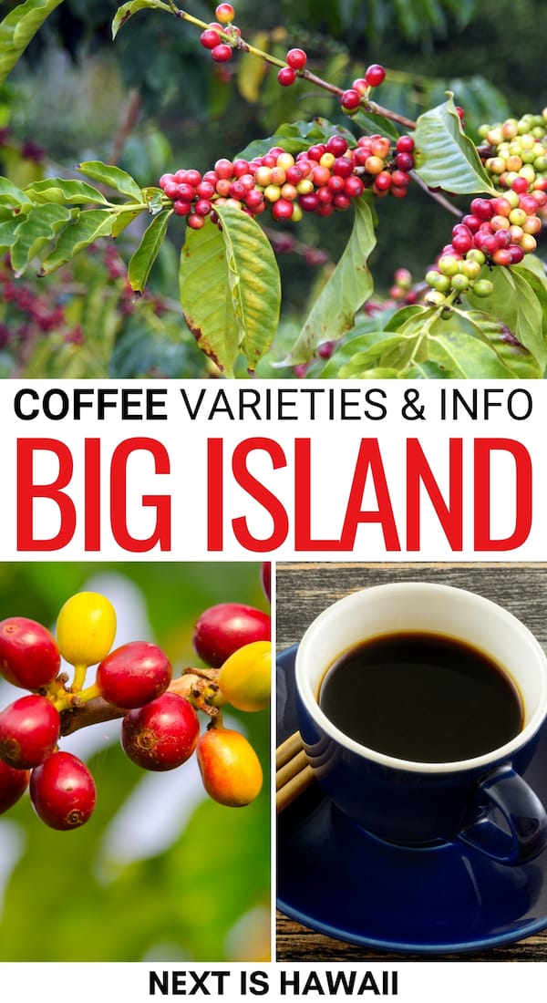 Big Island Hawaii Travel Coffee Mug