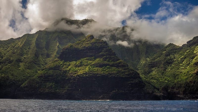 Delicious Varieties and Types of Coffee on the Big Island of Hawaii