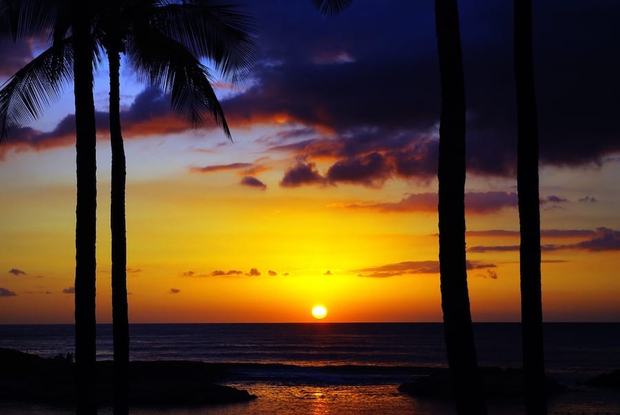 Delicious Varieties and Types of Coffee on the Big Island of Hawaii