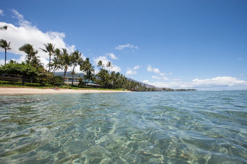 Best Snorkeling in Maui: 23 Beautiful Beaches, Coves, & More