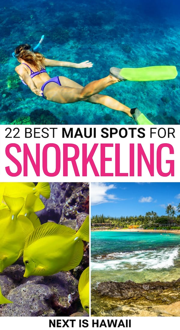 If you're looking for beaches and coves that offer the best snorkeling in Maui, look no further! We cover some epic Maui snorkeling spots (and give many tips!) | Snorkel Maui | Scuba diving Maui | Snorkeling Maui | Maui snorkeling places | Things to do in Maui | Molokini snorkeling | Turtle town snorkeling | Hawaii snorkeling | Snorkeling in Hawaii