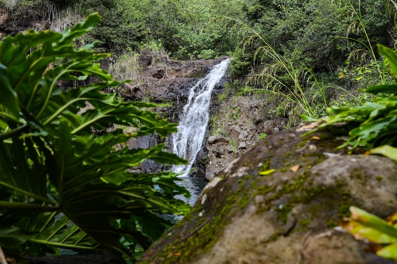 waterfalls in oahu