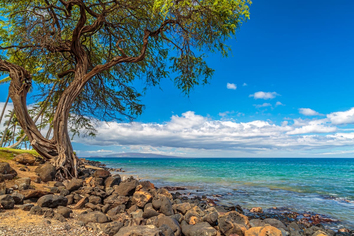 best snorkeling beaches in south maui