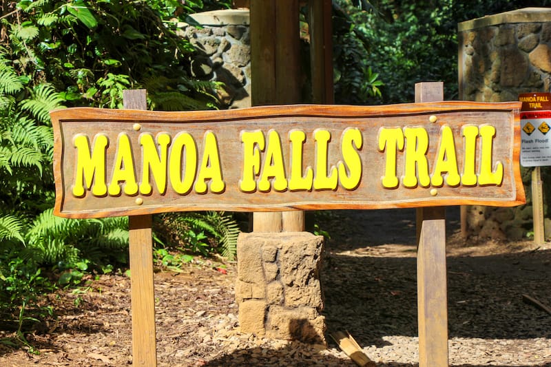 Best waterfall hikes in Oahu - Manoa Falls Trail