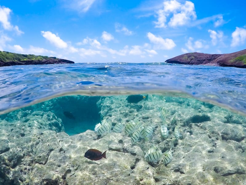 Hanauma Bay