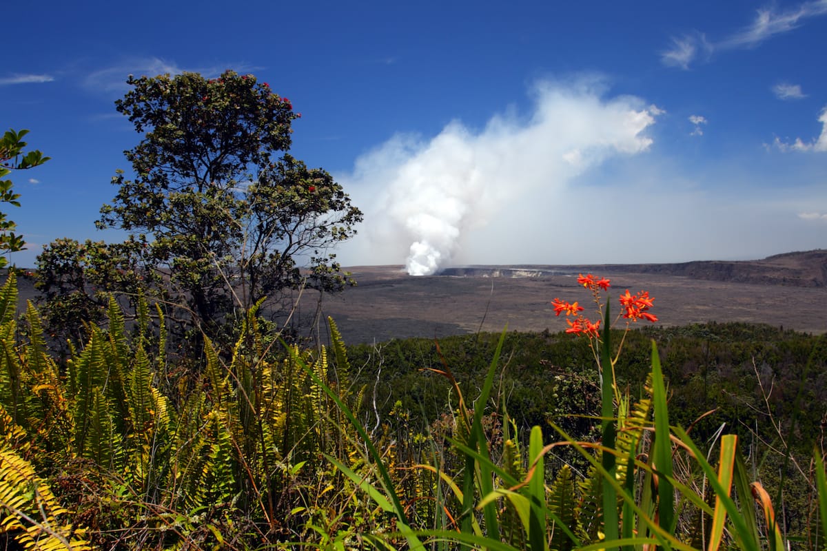 hawaii volcanoes national park day trip