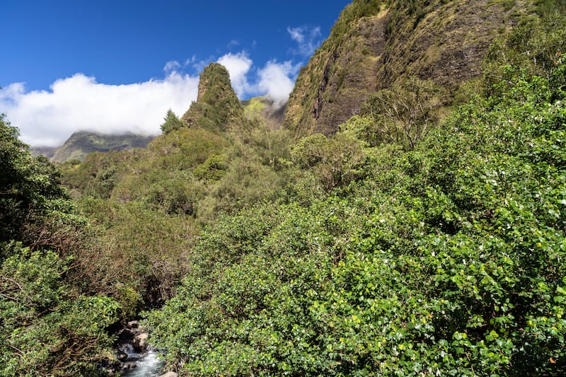 Iao Valley State Monument