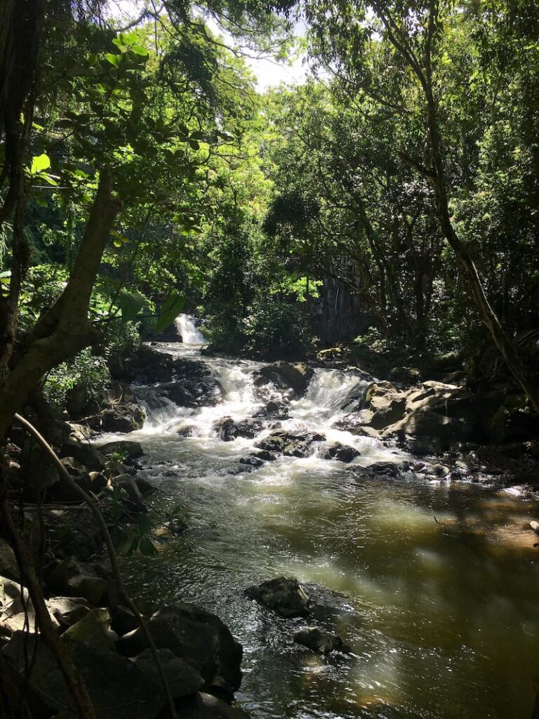 14 Best Oahu Waterfalls You Shouldn't Miss (+ How to Visit)